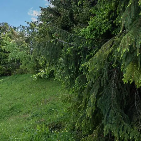 Penzion Chata Bukvica,